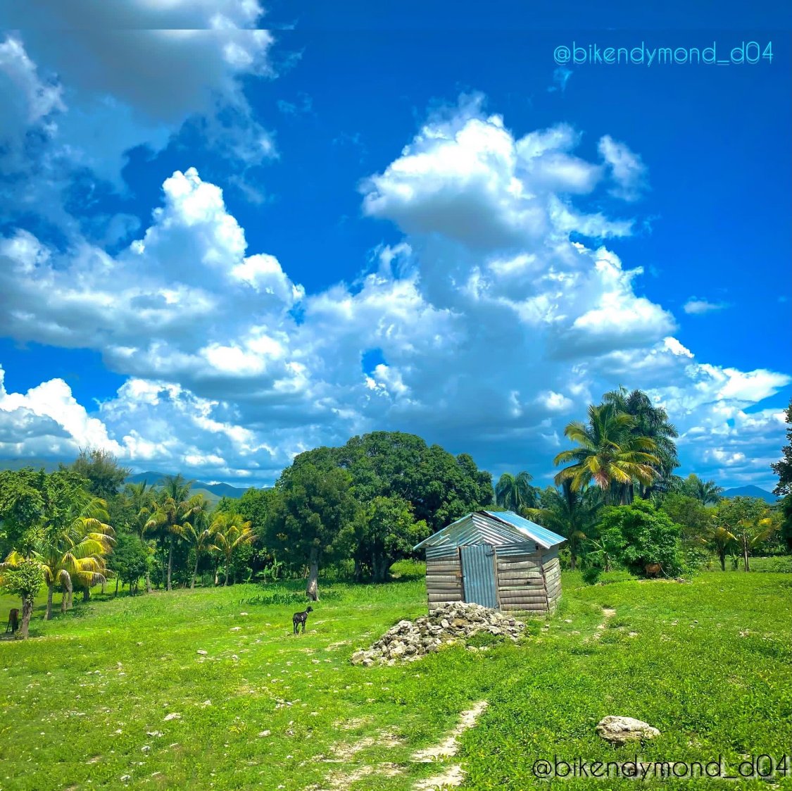 Haiti: Faite une visite dans une petite localité de la commune de Cerca-la-Source qui s’appelle Zabriko Haiti: Faite une visite dans une petite localité de la commune de Cerca-la-Source qui s’appelle Zabriko